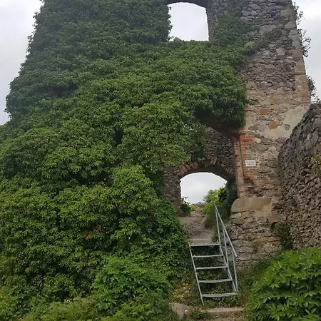 アパート Hegau-bodensee Mühlhausen-Ehingen