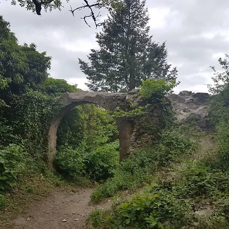 Hegau-bodensee アパート Mühlhausen-Ehingen