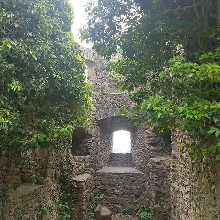 Hegau-bodensee アパート