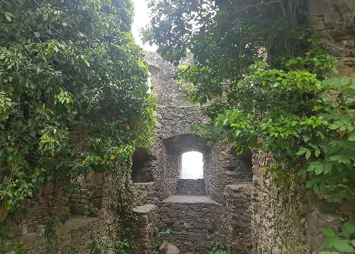 Hegau-bodensee Lägenhet